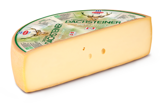 Dachsteiner