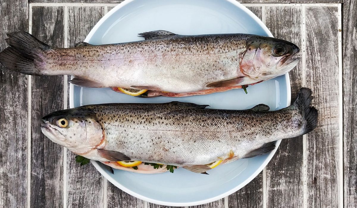 Fisch: Ein Superfood aus dem Wasser