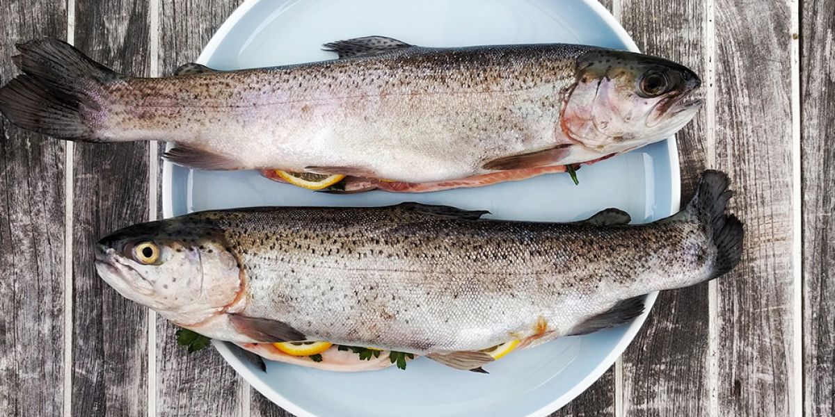 Fisch: Ein Superfood aus dem Wasser