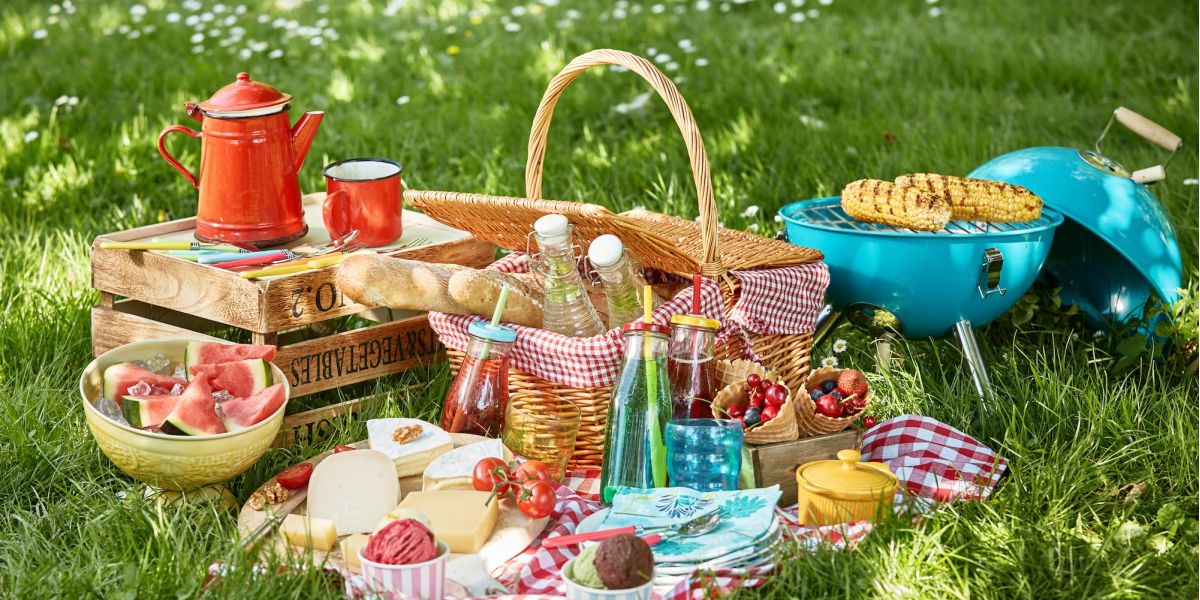 Genuss im Grünen: Familienfreude bei einem gemeinsamen Picknick im Sonnenschein