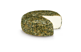 Ziegenkäsetorte Honig-Kürbiskern